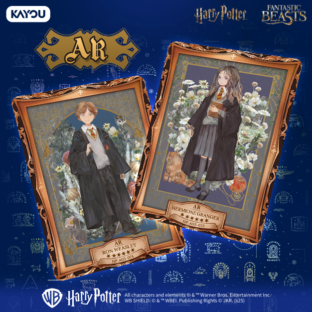 KAYOU Harry Potter Wizards' Collection Card Eternal Edition