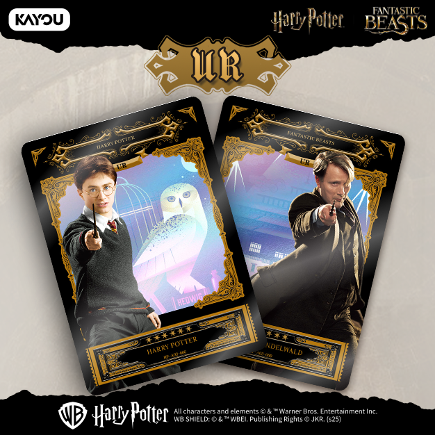 KAYOU Harry Potter Wizards' Collection Card Eternal Edition