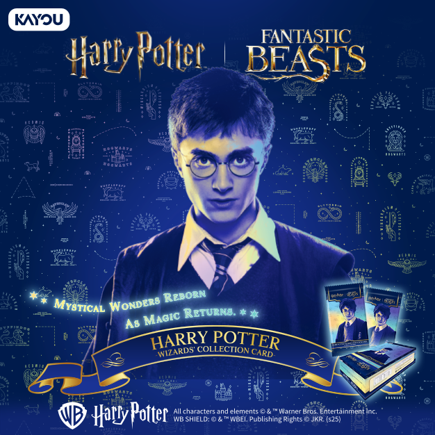 KAYOU Harry Potter Wizards' Collection Card Eternal Edition
